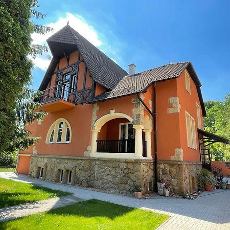 Penzion Villa Amelie Mladá Boleslav Εξωτερικό φωτογραφία
