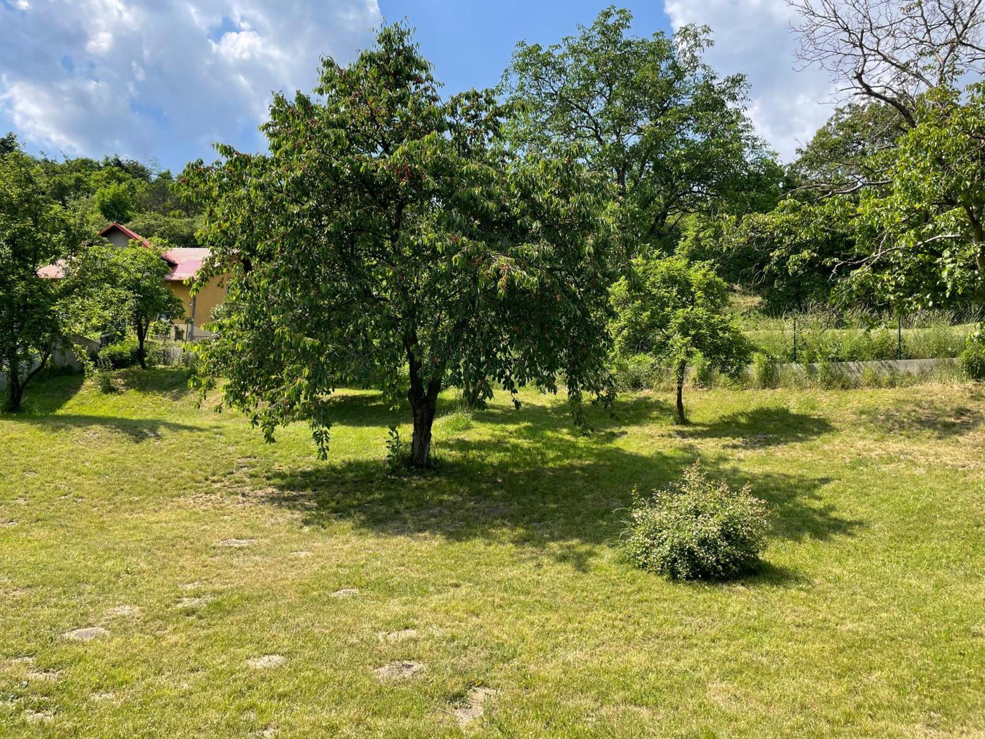 Penzion Villa Amelie Mladá Boleslav Εξωτερικό φωτογραφία